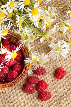 Basket of fresh ripe raspberries and camomile flowers on sackingの写真素材
