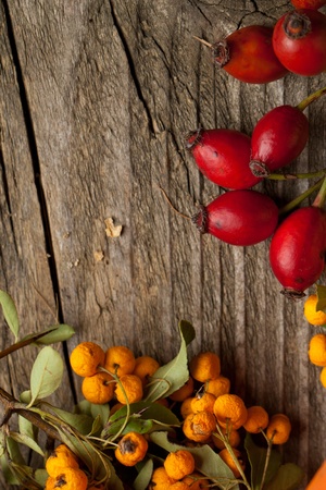 Bunch of autumn red and orange berries on old wooden table as backgroundの写真素材