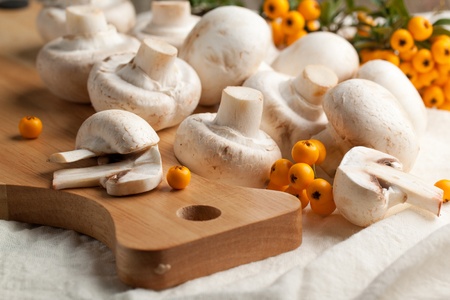 White champignon mushroom with orange berriesの写真素材