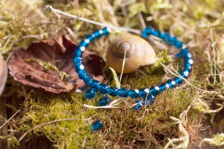 Blue glass beads with shells on dry leaf and mossの写真素材