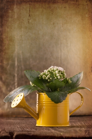 beautiful bouquet of little pink flowers in yellow watering can on old wooden table and golden background with textureの写真素材