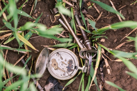 Old vintage pocket clocks with keys in grass on dirt の写真素材
