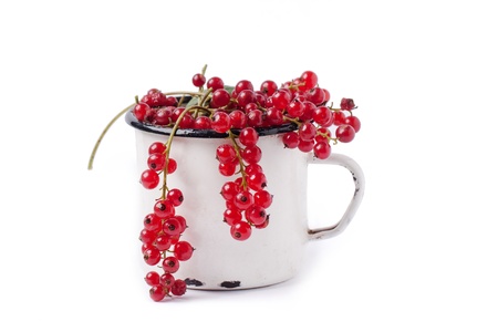 Heap of fresh currant in vintage cup over whiteの写真素材