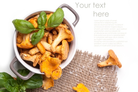 Top view on pot of mushrooms chanterelles with salt and basil over white with sample textの写真素材