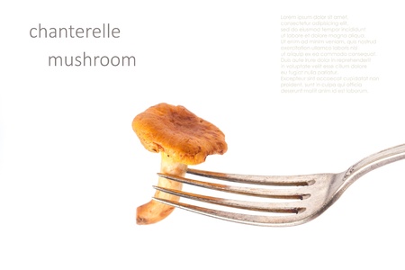 Vintage fork with mushroom chanterelle over white with sample textの写真素材