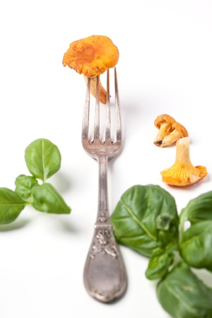 Vintage fork with mushrooms chanterelle and basil over whiteの写真素材