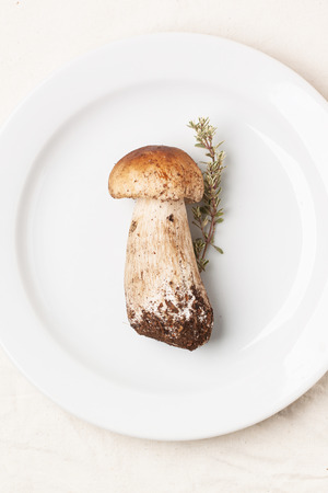 Top view on white plate with one cep mushroom and thyme over white tableclothの写真素材
