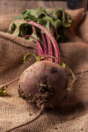 Beetroot with soil on sackcloth