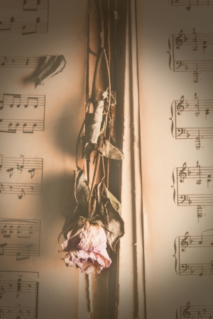 Vintage dry rose flowers on old musicの写真素材