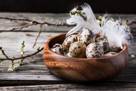 Wooden bowl of quail eggs with blossom branch over old wooden backgroundの写真素材