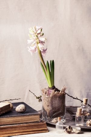 Easter interior with Hyacinth flower, old books and quail eggs. See seriesの写真素材