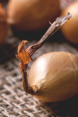 Close up of little onion over sackclothの写真素材