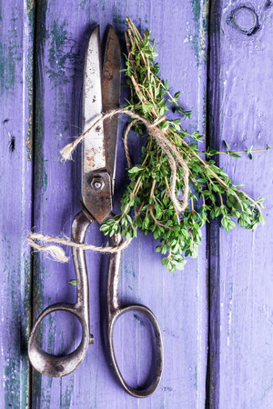 Top view on bunch of fresh thyme and vintage scissors on violet wooden tableの写真素材