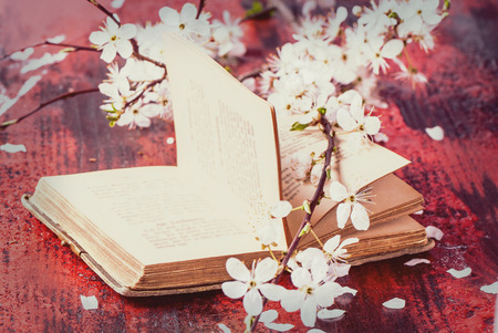 Open vintage book with blossom branch of cherry-tree on black and red wooden table. の写真素材