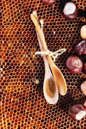 Wooden spoons with honey, chestnuts and walnuts over honeycombs as background. Top view.の写真素材