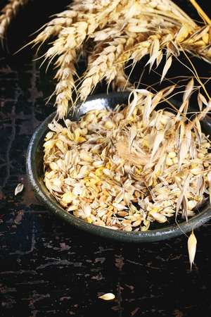 Ripe wheat and oat ears and ceramic plate of seeds over black wooden backgroundの写真素材
