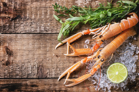 Raw langoustines on ice with herbs and lemon over wooden background. Top viewの写真素材