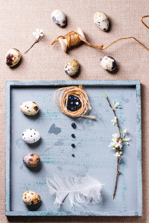 Easter object collection with quail eggs, feather and thread. Top viewの写真素材