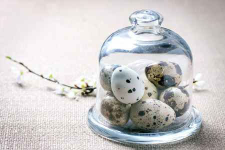 Quail eggs in glass and blossom branch as Easter decoration over brown tableclothの写真素材