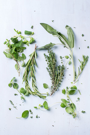 Assortment of fresh herbs thyme, rosemary, sage and oregano over light blue wooden background. Top view