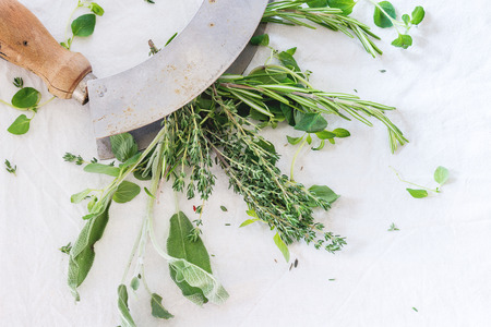 Assortment of fresh herbs thyme, rosemary, sage and oregano with vintage herb's cutter on white textile as background. Top view.の写真素材