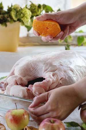 Woman's hands  pouring orange juice on raw goose. Goose prepare for cooking in glass baking dish with ripe apples over table with white tablecloth. With rustic window at background. Rustic style. Natural day light.の写真素材