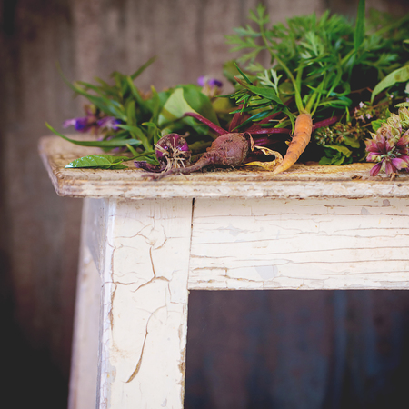 Assortment of fresh herbs mint, oregano, thym, blooming sage and young vegetables beetroot and carrot over old wooden stool as background. Natural day light. Square image with selective focusの写真素材