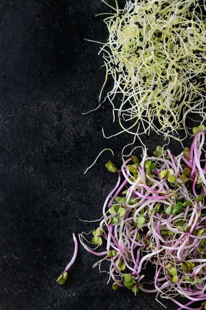 Healthy diet. Fresh Garlic and Radish Sprouts on over black metal surface. Space for text. Top view.の写真素材