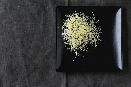 Healthy diet. Fresh Garlic Sprouts on black square plate over dark gray textile. Space for text. Top view.の写真素材