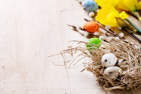 Easter decoration with quail eggs in nest with daffodils flowers and willow branches over wooden...