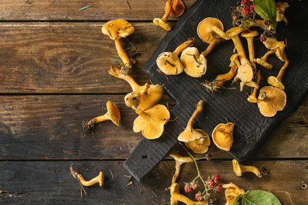 Forest Chanterelle mushrooms with wild raspberries on black wood cutting board over old  wooden background. Top view, copy spaceの写真素材