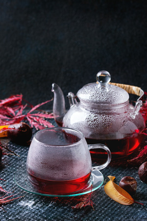 Autumn red hibiscus tea in glass cup and teapot standing on dark wet texture background with fall maple leaves and chestnuts. Space for text.の写真素材