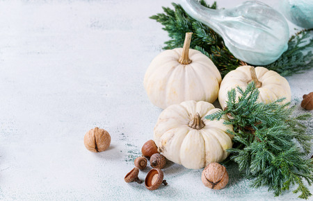 Holiday table decoration with white decorative pumpkins, thuja branches, walnuts and acorns over white wooden background. Space for textの写真素材