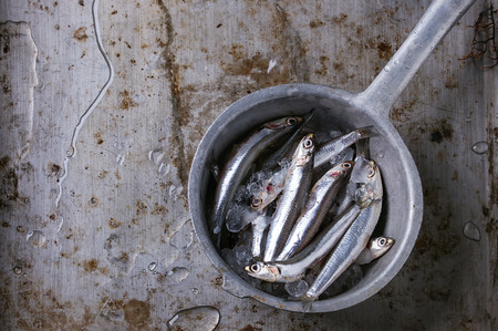Lot of raw fresh anchovies fishes on crushed ice in vintage colander over old dark metal background. Top view. Sea food background theme.の写真素材