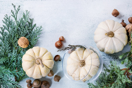 Holiday table decoration with white decorative pumpkins, thuja branches, walnuts and acorns over white wooden background. Top view with space for textの写真素材