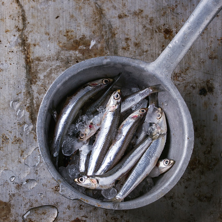 Lot of raw fresh anchovies fishes on crushed ice in vintage colander over old dark metal background. Top view. Sea food background theme. Square imageの写真素材
