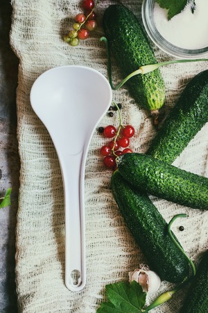 Fresh cucumbers prepared for pickling. Served with salt, red currant, garlic and big white plastic spoon over gauze textile. Preserving concept. Top view. Rustic style, day lightの写真素材