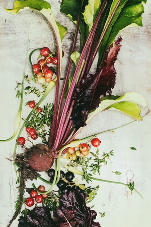 Variety of raw organic young vegetables beetroot with haulm, garlic, leaf salad, red currant over gray texture background. Top viewの写真素材