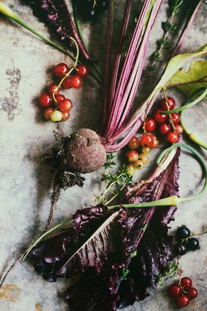 Variety of raw organic young vegetables beetroot with haulm, garlic, leaf salad, red currant over gray texture background. Top viewの写真素材