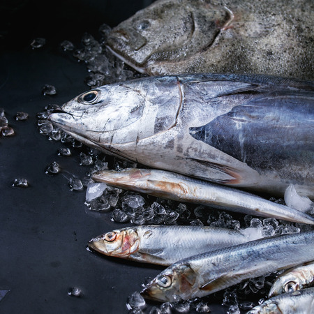 Raw fresh tuna, herring and flounder fish on crushed ice over dark wet metal background. Close up....