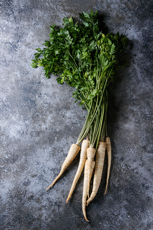 Bundle of fresh organic parsnip with haulm over gray texture background. Top view with spaceの写真素材