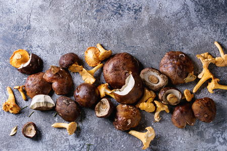 Heap of fresh forest porcini boletus and chanterelles mushrooms over gray texture background. Top view with space.の写真素材