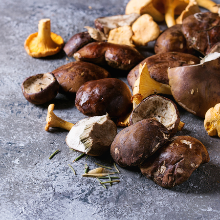 Heap of fresh forest porcini boletus and chanterelles mushrooms over gray texture background. Top view with space. Square imageの写真素材