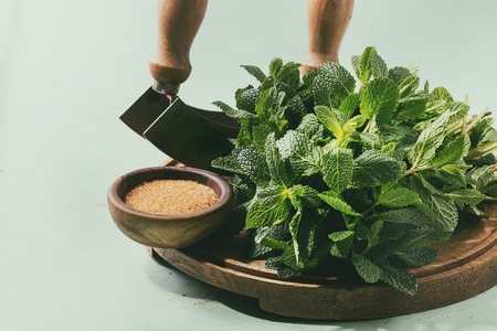 Ingredients for making mojito cocktail. Bundle of fresh mint and brown sugar on wooden board over green pin up background. Sunlight. Copy space. Toned imageの写真素材