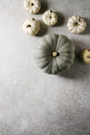 Grey Confection and white whole uncooked defected decorative pumpkins over grey texture surface. Flat lay, space. Autumn background.の写真素材