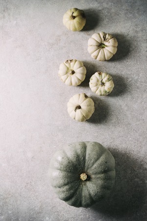 Grey Confection and white whole uncooked defected decorative pumpkins over grey texture surface. Flat lay, space. Autumn background.の写真素材