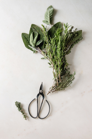 Variety of fresh kitchen herbs with scissors over white marble background. Flat lay, space. Cooking conceptの写真素材