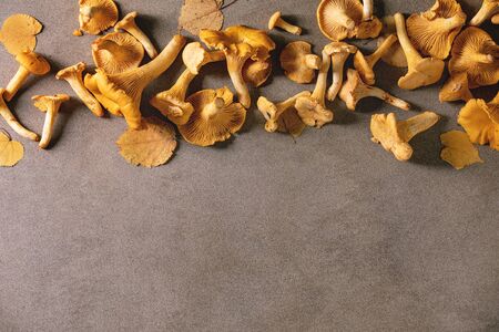 Forest chanterelle mushrooms, raw uncooked, with yellow autumn leaves over brown texture background. Flat lay, copy spaceの写真素材