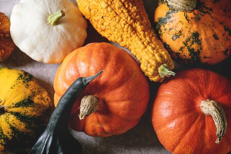 Variety of colorful pumpkins, edible and decorative. Autumn food background. Flat lay, close upの写真素材