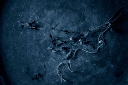 Branches of mistletoe